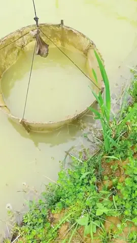 wow🥳🥳🥳#wow #amazing #satisfying #oddlysatisfying #foryoupage #trending