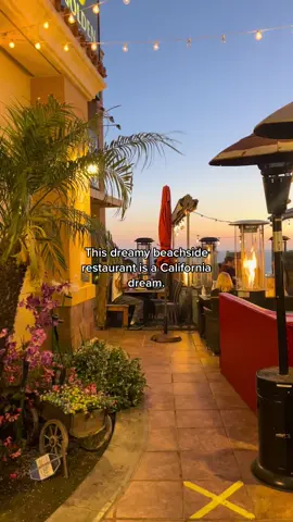 We ordered the eggplant and drunken noodles. 😋 #palosverdes #swanthai #palosverdescalifornia #thaifood #losangelesfoodie #localeats