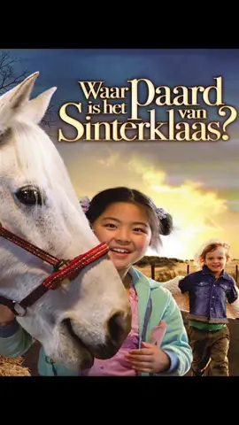 #fyp #paardvansinterklaas #winky #bootgemist #trendmeepakken
