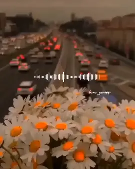 #يارب_إن_لي_أشخاص_أحبهم💛 #اللهم_احفظهم_بعينك_التي_لاتنام #اللهم_اني_استودعك_كل_شئ_احبه_قلبي #تصميم_فيديوهات🎶🎤🎬 #ستوريات #حالات_واتس #تصميمي #محظورة🙏😔 #أكسبلور #fyp #viral