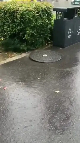 OMG 🤣🤣😱#wow #amazing #skills #satisfying #oddlysatisfying #foryoupage #trending