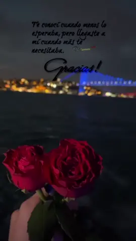 #sinbuscarteteencontre🥰😘😍 #iloveyoumylove #erestodoloqueundiasoñé #manhattannewyork #brooklyn #imoveon #conél🥰 #sunset #nochemagica #llegasteamividacuandomastenecesitaba