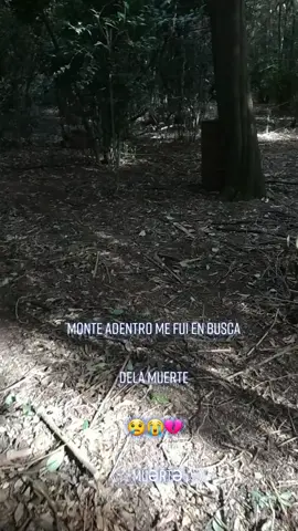 《......♡☆..》