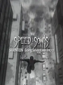 #GoSe #seventeen #fyp