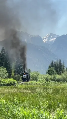Meadows and Mountains #durangosilvertontrain #railfanning #trainsoftiktok #traintok #trainspotting #railroad #railfan #railroading #railfans #railfansoftiktok #steamtrain #durango #durangocolorado