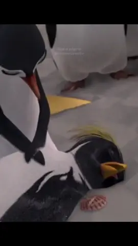 Tá Dando Onda (2007) disponível no HBO Max#tadandoonda #tádandoonda #tadandoonda2 #tàdandoonda #tadandoondafrango #frangotadandoonda #hbomax #hbomaxbrasil #hbomaxbr #dublagembrasil #dublagembrasileira #dublagembr #animaçaodublada