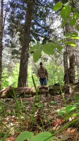 My favorite Disney song and my favorite place🏹🌲❤️ #fyp #fypシ #foryou #foryoupage #robinhood #oodelally #bwca #superiornationalforest #northernminnesota #nofilter #woodswoman #countrygirl #northwoods #northwoodsminnesota #gollywhataday