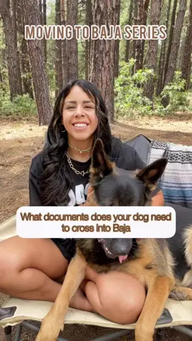 Moving To Series PT. 3 #movingtomexico #expatinmexico #expatlife #digitalnomadlife #fulltimervliving #camperlife #fulltimetraveler #travelingwithpets #dogtraveltips #traveltipsandhacks #fy