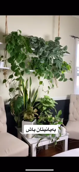 #SummerTrips #hawler_slemani_dhok_karkuk_hallabja #لایکوو_فۆڵووم_بکەن_زۆر_سپاستانەکەم💚💛💙