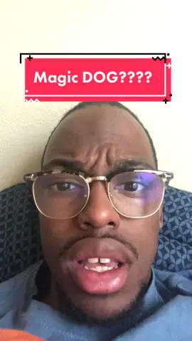 #stitch with @barinimiguel ik you saw what i saw #dog #magic #foryou #foryoupage #xyzcba