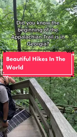 One of the most beautiful hikes in the world starts here #appalachiantrail #attrail #exploregeorgia #prettyhikes #nicehike #alltrails #hikesoftiktok #georgiastateparks #granolagirls #hikingadventures #amicalolafalls