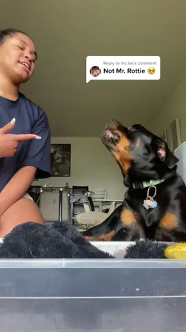 Reply to @mc.lex please watch until the end 😭🥺🤍 #dogsoftiktok #rottweiler #rottweilersoftiktok #PetsOfTikTok #animals