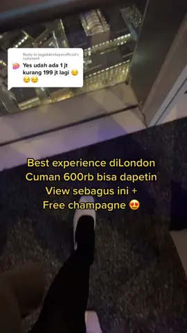 Reply to @jogjabikinlaperofficial 1jt harga nasi goreng disini ka🥺