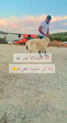 #meer🦅 #45👑 #گجرا_دے_مرید_نکلن_گے💪🙏 #🦅 #fyp #greece #👑 #pakistan ##fypシ #gujrainwala🔥😎✌💪💪👈😉