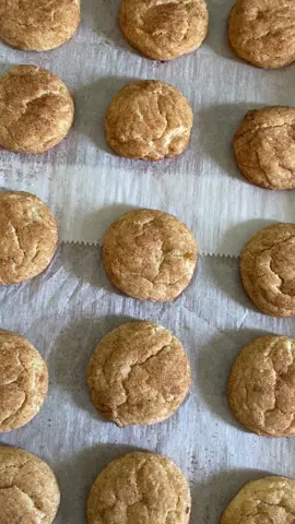 POV: Christmas snickerdoodles in summer🎄🎁cd: 185 days!☃️❄️#christmas #viral #foryou #baking #snow #winter #new #fyp #santa #christmasaesthetic #holiday