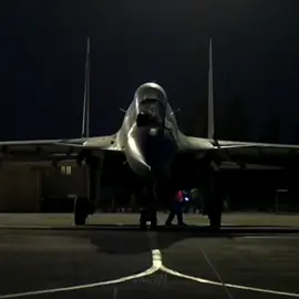 🦅#algerianairforce #algeria #algerian_army #su30