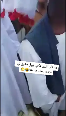 #دارالزين🔥🔥🔥🔥🔥🔥🔥🔥🔥❤️❤️❤️❤️❤️❤️❤️❤️❤️ #شكاري__تمبول_عرب_بطانه