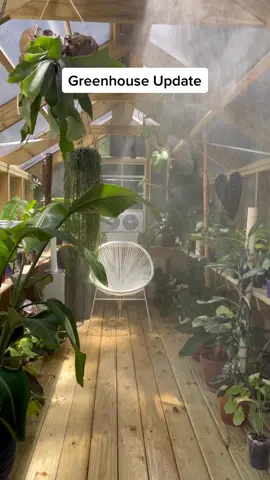 Greenhouse Misting System #greenhouse #plantok #plantoktips #manifestation #itworks #cool #tools #graden #plants