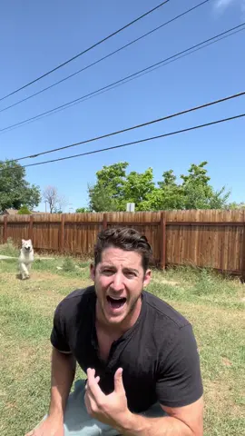 The slow-mo gets me everytime 🥲 #dogsoftiktok