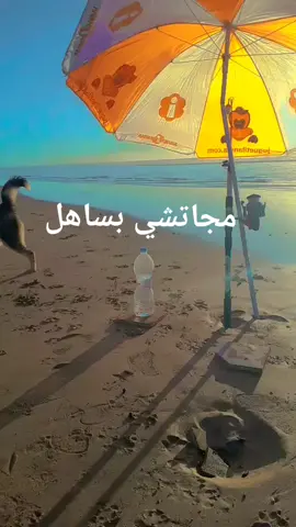 #مجاتشي_بساهل#nova9SEBeTheStar#تونس🇹🇳ليبيا🇱🇾الجزائر🇩🇿المغرب🇲🇦 #سوريا_تركيا_الامرات_دبي_ابوظبي #foryourpage #انظرالترجمة