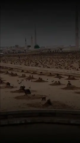 #دعاء #احمد_العجمي #ادعوا_ربكم #يارب #يالله #فرجك_يارب #بدون_حقوق #أجر_لي_ولكم #انشر_تؤجر #اكسبلور #explore @x911sultan