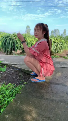 Người hỡi níu yêu đừng gian dối #xuhuong #ttql #sclk #63b4