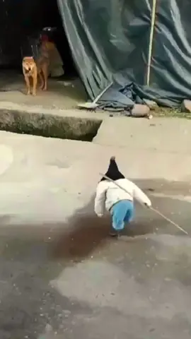 #chicken #funny #fyp #fun #foryou #funnyvideos #laugh #funnyvideo 🤣🤣🤣