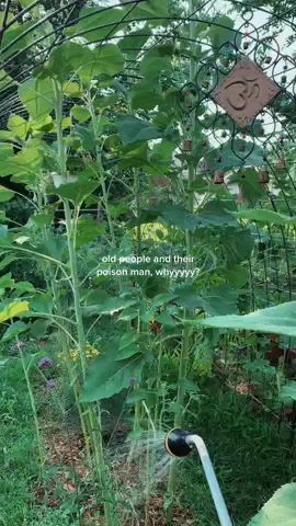 She literally mentioned the lack of pollinators this morning, she said “they just arent out like they used to be”. Probably bc of all that poison your husband sprays everyday linda. 👌