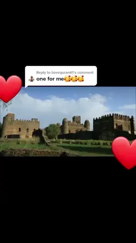 Reply to @ilovequran41 #oromotiktok❤️💚❤️ #boranalove #mpole🥰 #raha1queen