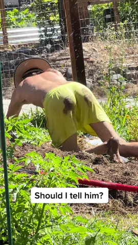#trashgarden #homesteader #homesteading #garden #gardening #gardening101 #gardentok #homesteadlife #anxiety #offgridgoals #chickens #homesteadtiktok #homestead #foodforest #permaculture #chickensoftiktok #adhd #goats #goatsoftiktok