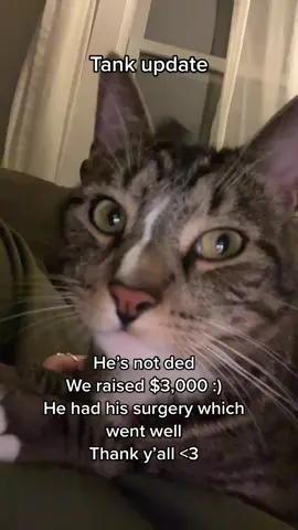 Very much appreciate yall :) thank you