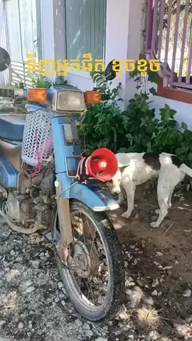 #គ្មានអ្នកlikeអោយ😞 #trending #tiktok https://vt.tiktok.com/ZSdTySMBM/?k=1