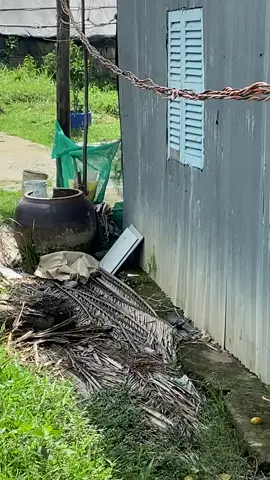 #VuDieuCongKiss  Ai Hóng Cái Kết Ko Nè 😅