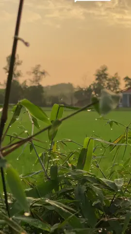 Trả lời @thanh796888 video gốc của em zai đây #chinguyen172 #xuhuong #chill