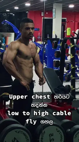 Mansa fitness gym #colombo🇱🇰 #colombofitness #upperchest #chest #fypシ #fy #fyp #viral #feelgood #foryou #fatloss #gains #srilanka #propertechnique #trending #tiktok