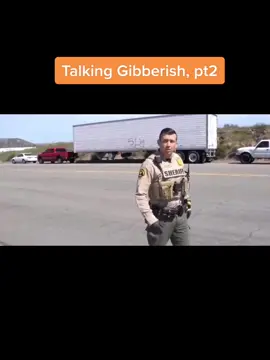 #911 #dashcam #againstthelaw #noice #citylaw #pullover #police #bodycam Talking Gibberish, pt2, buy a body cam and protect yourself.