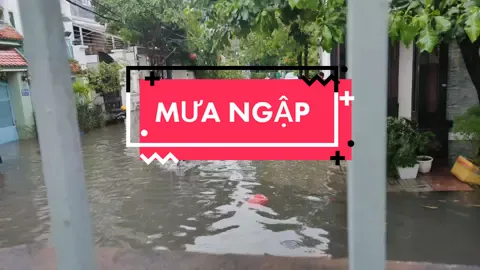 Con hẻm Gò Vấp sau cơn mưa (Phường 9) #govap #mua #ngap #ngapnuoc