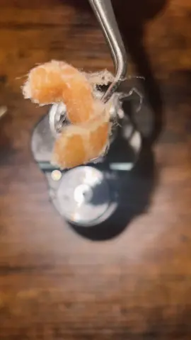 Did i invent vaping? Yes.  #TeamUSATryout #vape #educational #fyp