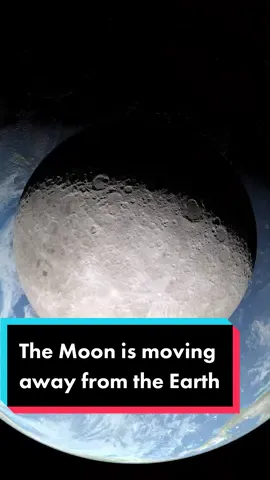 The Moon is running away from us and it’s slowing us down! // #astrokobi #stem #LearnOnTikTok #physics #STEMTok #physicstok #astrophysics #Astronomy #space #earth #moon #planets #tiktokaustralia