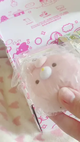 This month's #Kawaiibox from #Blippo was so cute !! 💓🌴 #unboxing #cute #mysterybox #subscriptionbox #sanrio #sanriocore #pinkaesthetic #cuteaesthetic #fypシ #fypage