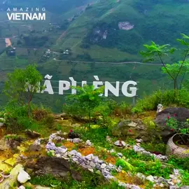 Hà Giang ơi sao mà yêu thếLúa vào mùa say cả thi nhânCô gái Mèo thổi hồn vào đấtTam giác mạch hương sắc nghiêng trời ❤️❤️❤️ #hagiangvietnam #TuHaoDaSac