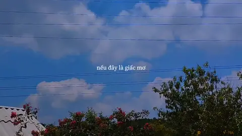 nếu đây là giấc mơ thì hãy để em chìm thật sâu, em không muốn thức dậy để lỡ vụt mất anh nữa đâu 💖 #lacvaotrongmo #speedup #foryou #lyrics #xh #xuhuong #trending