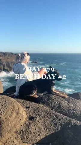 when a tt follower @Abbie Monroe surprises you with Dutch cause she could tell you were down the road from her house 🥹🤍 today was a goooooood dayyyy🐶🌴🤍 xoxo #homeless #homelessandhumble #homelessadventures #beachday #dayinthelife