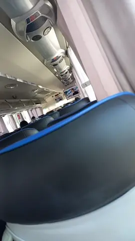 #shoxbek #rek #shoxbek_13_73 #uzbeksila @bugsbunniy24