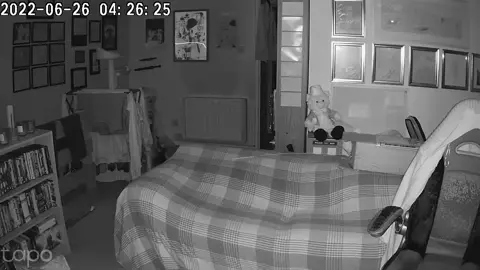 #catsoftiktok #kittensoftiktok #cat #kitty #kitten #crazy #surprise