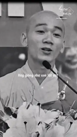 Dù ngã bao lần cũng tự đúng dậy ... #phatphapnhiemmau #xuhuong #thichtamnguyen