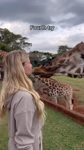 Whos a better giraffe kisser?😅 #giraffe #giraffemanor #funny #trend #couple #travel #