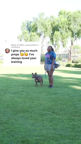 Reply to @faiths_pupvacation How To Tell When/If Your Dog Will Likely Attack ~ #dogtips #DogTraining #dogtrainingtips #fyp #foryou