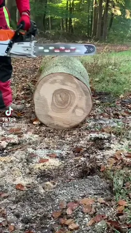 ##fypシ゚viral #goviral #fpyツ #foryou #foryou #stihl #stihlms500i #fypシ゚viral🖤video #fypシ゚viral🖤video #you #greenscreenvideo #greenscreenvideo #fllowmetiktoknowgoooviral #fpyツforyou #fllowmetiktoknowgoooviral #borisboros #scharpen #husqvarna592xp #eofc♡ #eofc♡ #stihlms #scharpen #fypシ゚viral #foryou #fpyツ #fypシ゚viral🖤video #fpyツforyou #greenscreenvideo #fpyツforyou #scharpen #scharpenchainsawspeed #goviral #fypシ゚viral #fypシ゚viral🖤video #scharpen #scharpenchainsawspeed #q #quarantine #fpyツ #f #foryou #foryou #foryoupage #fypシ #fypシ #funny #dúo #duet #fypage #foryourpage #fypage #freefire #comedia #naruto #memes #önümdehayat #ägypten #roblox #fknjunior #illu #omg #olxdekhahai #öob #russia #burhan_tv bi#fypシ゚viral #scharpen #meme #Love #goviral #LearnOnTikTok #learnfromkhaby #nails #oddlysatisfying #ios14 #olcayika #naruto #neiperte #netflix #new #Minecraft #on #warzone #zu #zulqarnainfam #z #zyxcba #zodiac #zoommyface #zodiacsigns #zendaya #otaku #parati #pov #pubgmobile #pet #qrcode #on #bts #parati #p #pov #pubgmobile #paratii #paratii #anime #a #asmr #art #army #army #Soccer #share #school #anime #animetiktok #animes #animeedit #animes #animes #animefyp #animeboy #fakebody #scharpenchainsawspeed #fypシ゚viral #goviral #foryou #stihl #chainsaw #chainsawman #chainsawmanedit #q #quarantine #quotes #quran #quarantinelife #quickrecipes #w #weeb #wow #workout #warzone #work #wedding #weightloss #wattpad #women #e #edit #explore #explor #EduTok #ecuador #recommendations #risa #rap #ronaldo #tiktok #trending #trend #tiktokindia #tiktoker #tiktokuni #zyxcba #z #fpyツforyou #usa #u #ukraine #unfrezzmyaccount #unlockvivov17 #i #illu #islam #instagram #india #iphone #iphone #indonesia #indian #italy #iloveyou #o #on #otaku #on #ijiranaidenagatorosan #parati #p #pourtoi #pov #ülkücü #ü #üçkuruş #animals #s #stitch #standwithkashmir #sad #satisfying #share #school #d #duet #dúo #dance #destacame #eofc♡ #fypシ゚viral #goviral #fpyツ #foryou #foryou #stihl #stihlms500i #fypシ゚viral🖤video #fypシ゚viral🖤video #you #greenscreenvideo #greenscreenvideo #fllowmetiktoknowgoooviral #fpyツforyou #fllowmetiktoknowgoooviral #borisboros #scharpen #husqvarna592xp #eofc♡ #eofc♡ #stihlms #scharpen