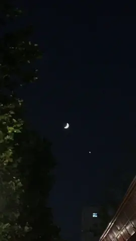 ⭐️ #umaestrela #desejodemenina #desejodemeninadasantigas #trechosdemusicas #fy #viral #forrodasantigas